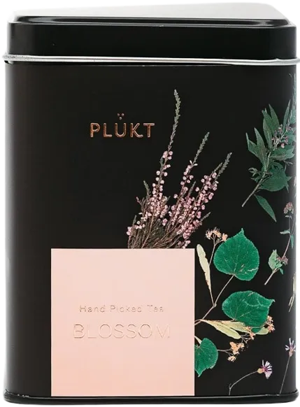 Tēja BLOSSOM 25x2g