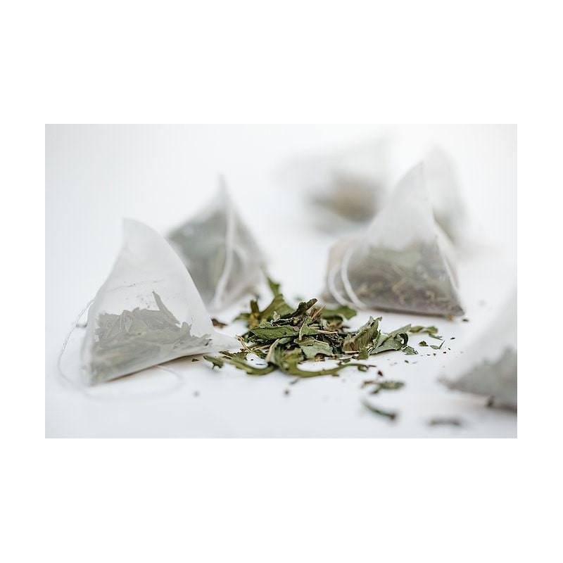 Tēja NORDIC GREEN 25x2g